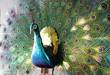 裝飾紀(jì)念碑（展示在我們的入口處）