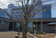 內(nèi)田市政廳（屋頂材料）/ 綠色